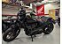 2024 Harley-Davidson Softail Low Rider S