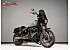 2024 Harley-Davidson Softail Low Rider S