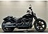 2024 Harley-Davidson Softail Street Bob 114