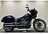 2024 Harley-Davidson Softail Low Rider ST