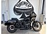 2024 Harley-Davidson Softail Low Rider ST
