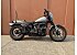 2024 Harley-Davidson Softail Low Rider S