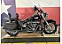 2024 Harley-Davidson Softail