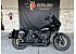 2024 Harley-Davidson Softail Low Rider ST