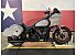 2024 Harley-Davidson Softail