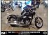 2024 Harley-Davidson Softail Standard