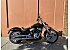 2024 Harley-Davidson Softail Standard
