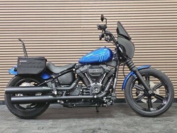 2024 Harley-Davidson Softail Street Bob 114