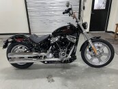 New 2024 Harley-Davidson Softail Standard