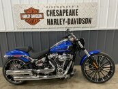 2024 Harley-Davidson Softail Breakout