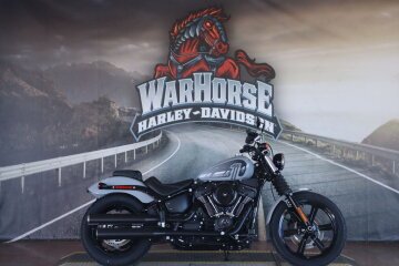 2024 Harley-Davidson Softail Street Bob 114