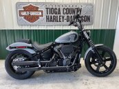 2024 Harley-Davidson Softail Street Bob 114