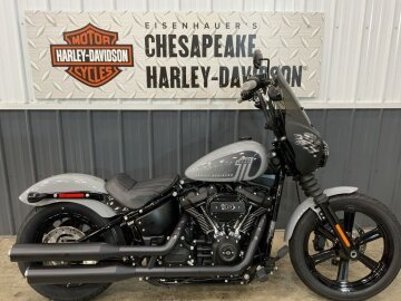2024 Harley-Davidson Softail Street Bob 114