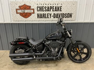 2024 Harley-Davidson Softail Street Bob 114