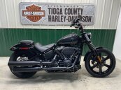 2024 Harley-Davidson Softail Street Bob 114