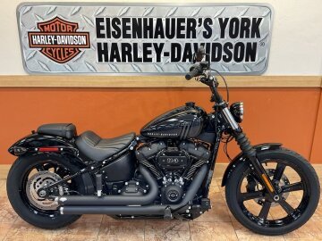 2024 Harley-Davidson Softail Street Bob 114
