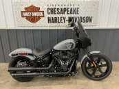 2024 Harley-Davidson Softail Street Bob 114