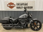 2024 Harley-Davidson Softail Street Bob 114