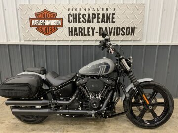 2024 Harley-Davidson Softail Street Bob 114