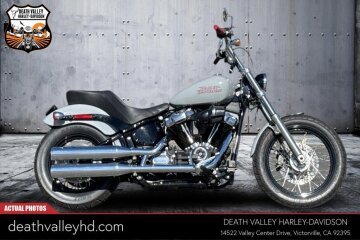 2024 Harley-Davidson Softail Standard
