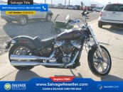 New 2024 Harley-Davidson Softail Standard