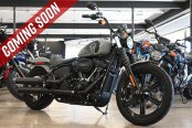 2024 Harley-Davidson Softail Street Bob 114