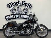 2024 Harley-Davidson Softail Standard