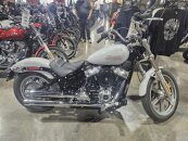 2024 Harley-Davidson Softail Standard