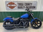 2024 Harley-Davidson Softail Street Bob 114