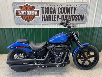 2024 Harley-Davidson Softail Street Bob 114
