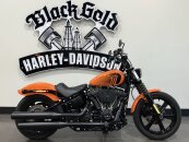 2024 Harley-Davidson Softail Street Bob 114