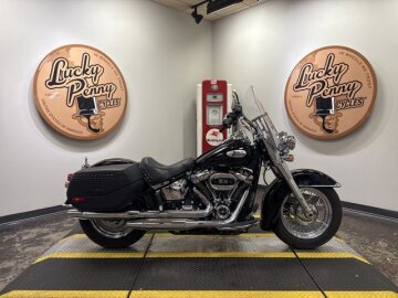 2024 Harley-Davidson Softail