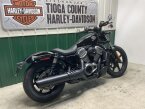 Thumbnail Photo 4 for 2024 Harley-Davidson Sportster Nightster