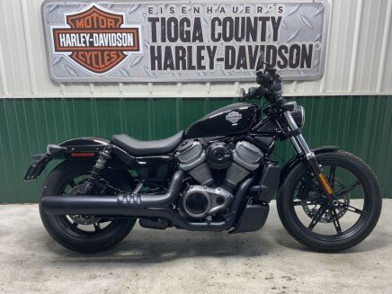 Photo 1 for 2024 Harley-Davidson Sportster Nightster