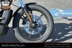Thumbnail Photo 3 for 2024 Harley-Davidson Sportster Nightster