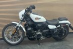 Thumbnail Photo 1 for 2024 Harley-Davidson Sportster Nightster Special