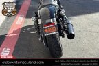 Thumbnail Photo 6 for 2024 Harley-Davidson Sportster Nightster
