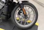Thumbnail Photo 3 for New 2024 Harley-Davidson Sportster Nightster Special