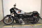 Thumbnail Photo 6 for 2024 Harley-Davidson Sportster Nightster Special