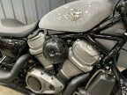 Thumbnail Photo 4 for 2024 Harley-Davidson Sportster Nightster