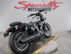 Thumbnail Photo 1 for 2024 Harley-Davidson Sportster Nightster Special