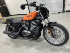 Thumbnail Photo 1 for 2024 Harley-Davidson Sportster Nightster Special
