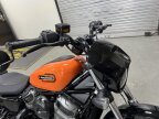 Thumbnail Photo 2 for 2024 Harley-Davidson Sportster Nightster Special