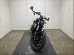 Thumbnail Photo 1 for 2024 Harley-Davidson Sportster Nightster