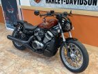 Thumbnail Photo 1 for 2024 Harley-Davidson Sportster Nightster Special