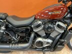 Thumbnail Photo 6 for 2024 Harley-Davidson Sportster Nightster Special