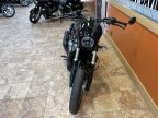 Thumbnail Photo 2 for 2024 Harley-Davidson Sportster Nightster Special