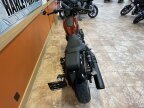 Thumbnail Photo 4 for 2024 Harley-Davidson Sportster Nightster Special