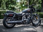 Thumbnail Photo 3 for 2024 Harley-Davidson Sportster Nightster Special