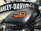 Thumbnail Photo 4 for 2024 Harley-Davidson Sportster Nightster Special